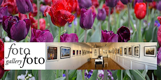 Immagine principale di fotofoto gallery’s Spring Fling 