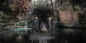 Primaire afbeelding van The Cave of Balam Kitzé Jaguar, Bone Woman & Chaac with Irma StarSpirit