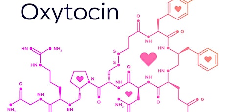 Oxytocin: Understanding the Love Hormone