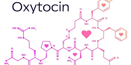 Imagem principal do evento Oxytocin: Understanding the Love Hormone