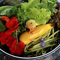 Hauptbild für Grow Your Own Vegetables with Toronto Master Gardeners
