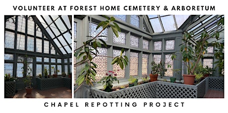 Volunteer opportunity:  Chapel repotting project