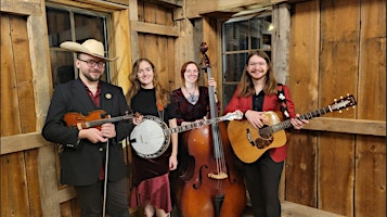 Blue Diggity - Traditional & Original Bluegrass Music primary image