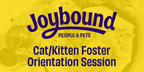 Joybound Online Cat Foster Orientation 03/19/24 @ 6PM primary image