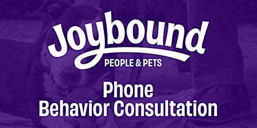 Dog - Phone Behavior Consultation primary image