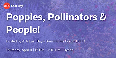 Poppies, Pollinators & People!