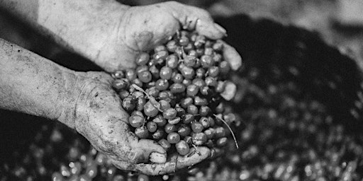 Hauptbild für Coffee Tasting: Understanding Process