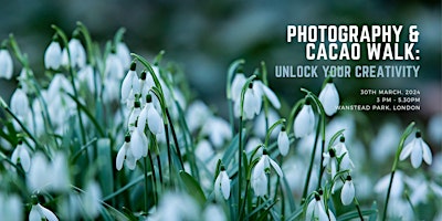 Photography & Cacao Walk: Unlock Your Creativity primary image