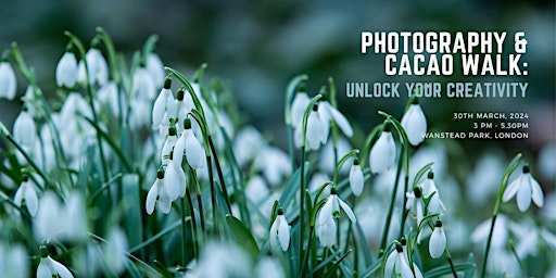 Image principale de Photography & Cacao Walk: Unlock Your Creativity