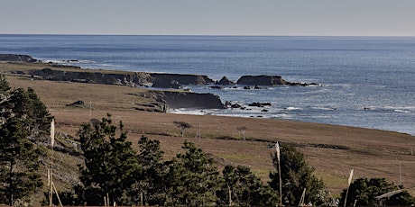 Forest Bathing: Guided Ecotherapy Experience @ The Sea Ranch Lodge