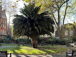 Park to Park Sunday walk - Green Park to Primrose Hill primary image