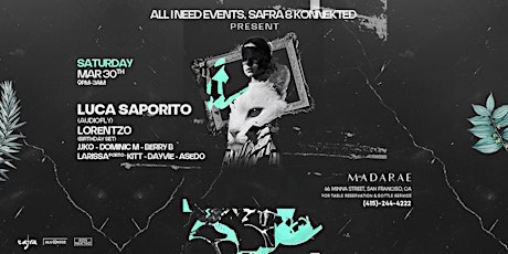 All I Need, Safra & Konnekted: LUCA SAPORITO [AUDIOFLY] & LORENTZO [Bday]