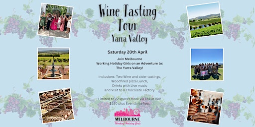 Yarra Valley Wine Tasting Tour | Melbourne Working Holiday Girls primary image