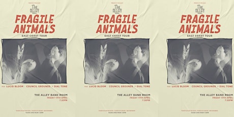 Fridays at The Alley: Fragile Animals