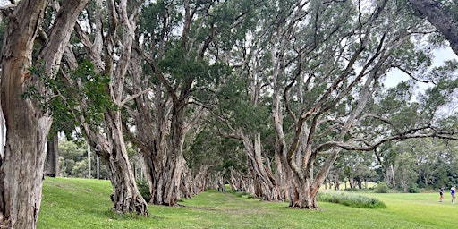 Imagem principal do evento Walking Meditation class with Wise Body