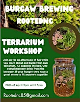 Primaire afbeelding van Terrarium build workshop.