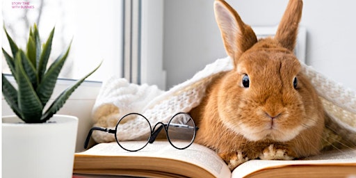 Image principale de Story Time with Bunnies