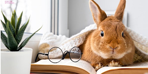 Imagem principal de Story Time with Bunnies