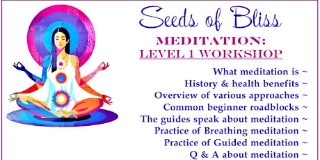 Seeds of Bliss: Meditation Level 1 Workshop