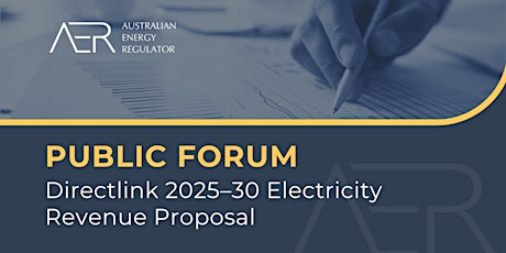 Public Forum: Directlink 2025 - 30 Revenue Proposal