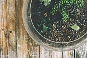 Hauptbild für Crafternoon Jam: Plant-astic Terrariums