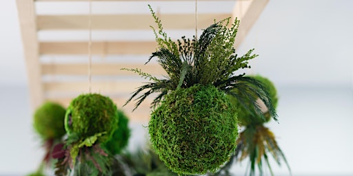 Image principale de Urban Gardens- Kokedama Plant Ball Workshop