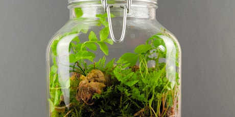 Terrarium Workshop for Kids (School Years 2-6)