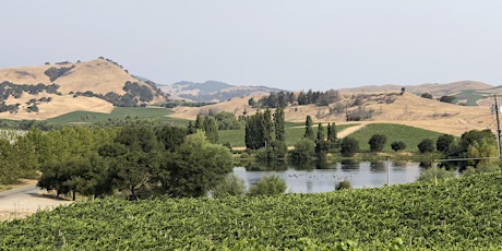 Painting in the Carneros at Cuvaison Winery with Wine and Cheese