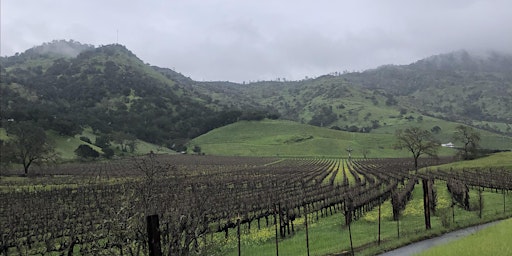 Imagem principal de Painting, Wine and Charcuterie at Stags' Leap Winery