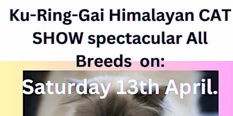 CAT SHOW *** Ku-Ring-Gai Himalayan Cat Club primary image
