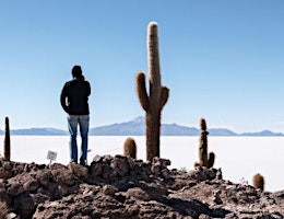 Imagen principal de VIP ONE WAY FROM UYUNI TO THE SALT FLAT, COLORED LAGOONS ND CHILE
