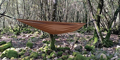 Trekking verso la Cascata di Muru Mannu e Forest Bathing sulle Amache