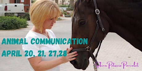 Animal Communication - Mater the Art of Animal Communication