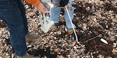 NEW Home Education Drop-off Beach Session for 7 - 12 year olds, Pagham Harbour. primary image