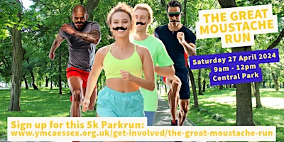 The Great Moustache Run primary image