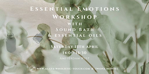 Primaire afbeelding van Essential Emotions Workshop with Sound Bath, Amsterdam West