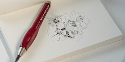 Image principale de Atelier+ Botanisch tekenen