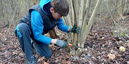 Youth Rangers of the Fens primary image