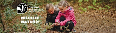 Wildlife Watch at Rainton Meadows primary image