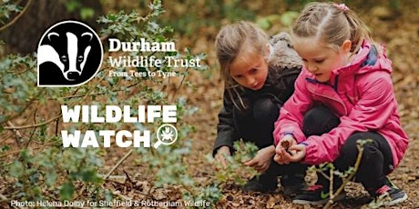 Wildlife Watch at Low Barns primary image