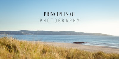 Primaire afbeelding van Principles of Photography