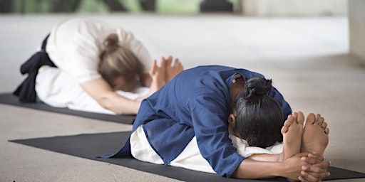Imagem principal do evento Yogasanas -  transformative classical postures  for health & joy