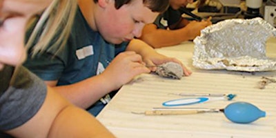 Burpee Museum's 2024 Summer Day Camp: Earth Explorers, July 15-19 primary image