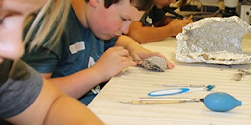 Primaire afbeelding van Burpee Museum's 2024 Summer Day Camp: Earth Explorers, July 15-19