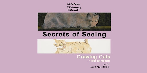 Imagen principal de SECRETS OF SEEING: Cats