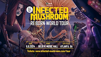 Infected Mushroom at Believe Music Hall
