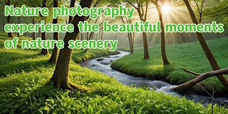 Nature photography, experience the beautiful moments of nature scenery