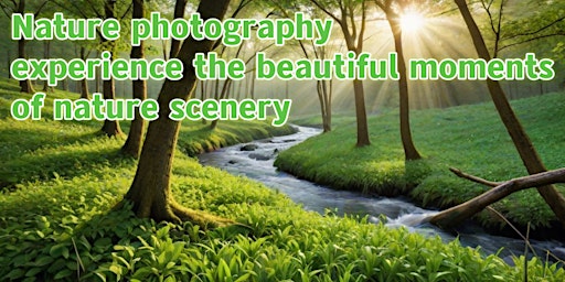 Primaire afbeelding van Nature photography, experience the beautiful moments of nature scenery