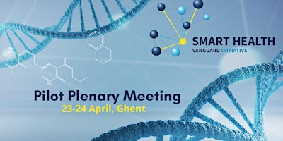 Immagine principale di Smart Health Pilot Plenary Meeting 