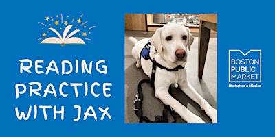 Imagem principal do evento Reading Practice with Jax , Chief Barketing Officer